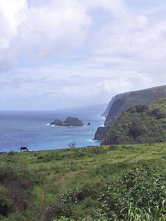 Hawaiis Straßenränder